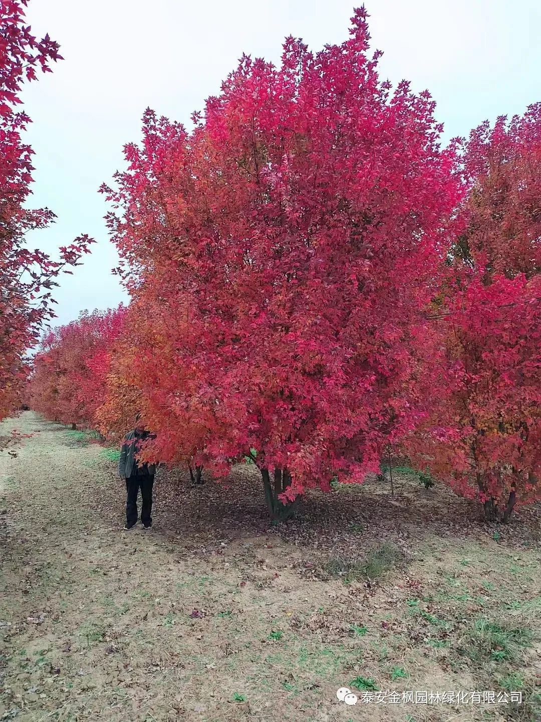 微信圖片_20230130102330 微信圖片_20230130102330